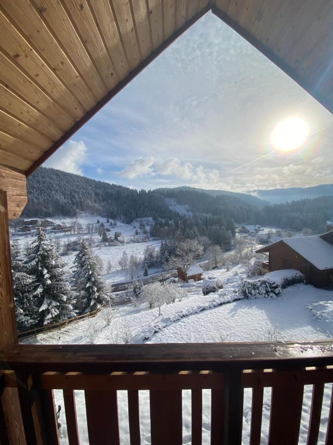 Chalet de la Grimpette au coeur de Gérardmer Eksteriør bilde