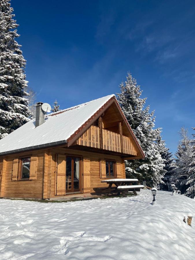 Chalet de la Grimpette au coeur de Gérardmer Eksteriør bilde