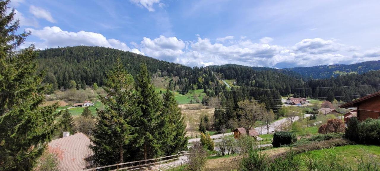 Chalet de la Grimpette au coeur de Gérardmer Eksteriør bilde